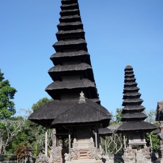 SAM_1275